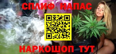 крисы Нягань