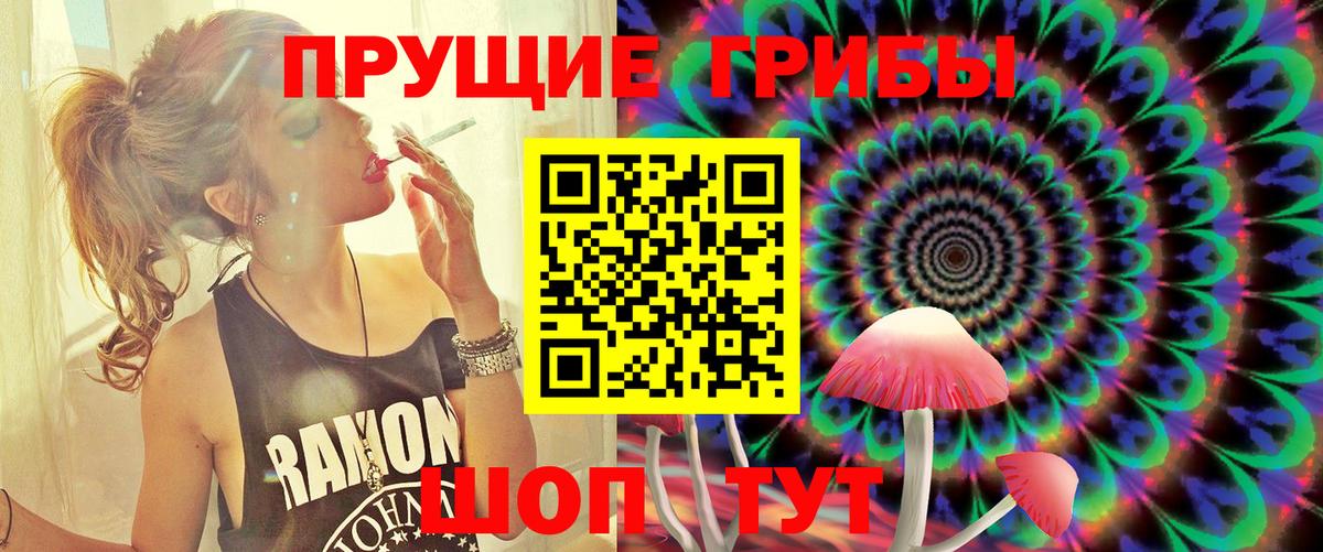 Галлюциногенные грибы Psilocybine cubensis  купить наркотики сайты  Семилуки  Вход с VPN  Псилоцибиновые грибы GOLDEN TEACHER 