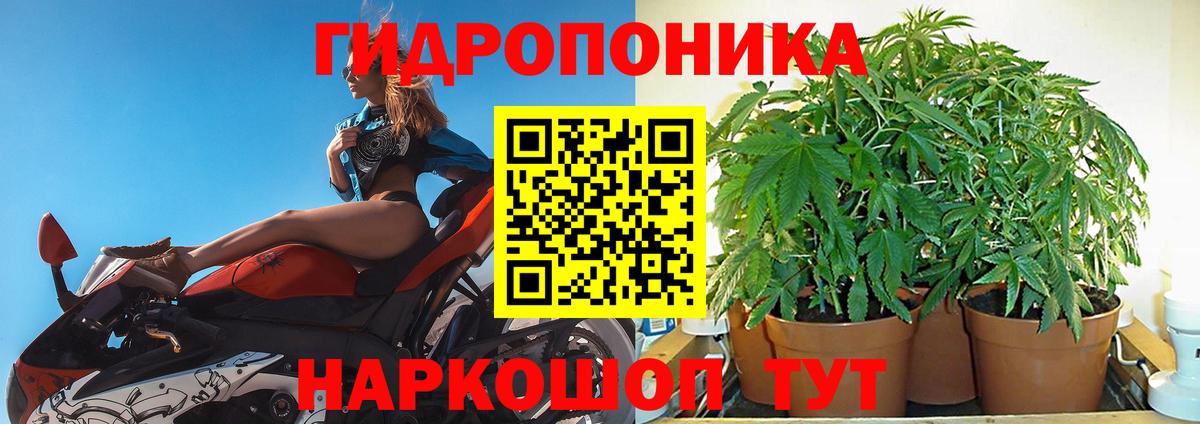 Марихуана конопля Семилуки